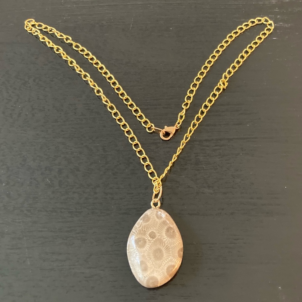 Beautiful handmade Petoskey Stone pendant with Gold tone 20" Chain Necklace. - Picture 5 of 9
